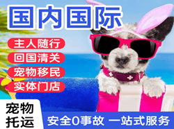 天津滨海机场快运国际宠物托运 【国